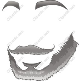 Stylish Beard