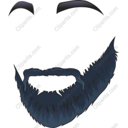Stylish Beard