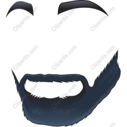 Stylish Beard