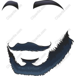 Stylish Beard