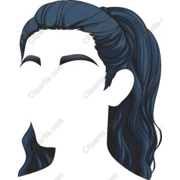 Elegant Woman's Ponytail