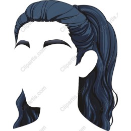 Elegant Ponytail