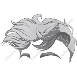 Elegant Modern Hairstyle