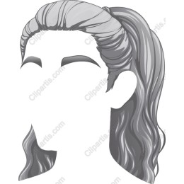 Elegant Ponytail