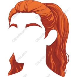 Stylish Orange Ponytail