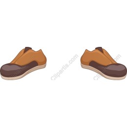 Classic Brown Shoes