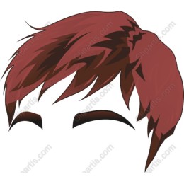 Trendy Red and Brown Hairstyle