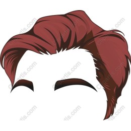 Trendy Hairstyle