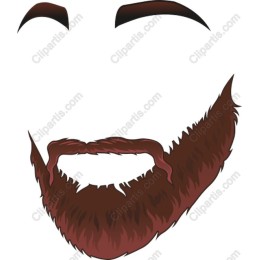 Stylized Beard