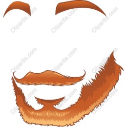 Stylish Beard