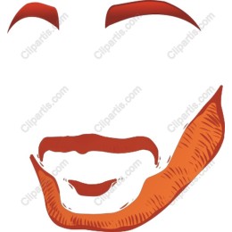 Stylized Facial with Beard and Eyebrows