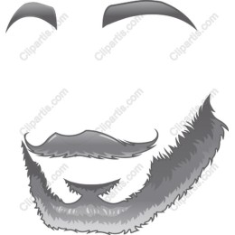 Stylish Beard