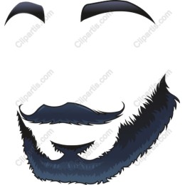 Stylish Beard