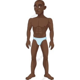 Stylized Male Fitness