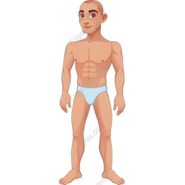 Dynamic Male Fitness