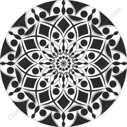 Elegant Black and White Mandala