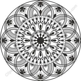 Elegant Black & White Mandala