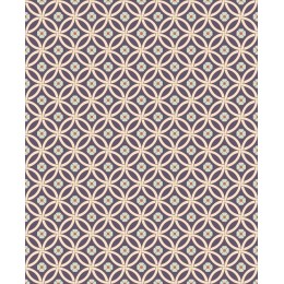Elegant Geometric Pattern
