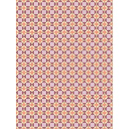 Elegant Geometric Pattern
