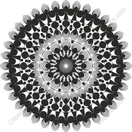 Elegant Black and White Mandala