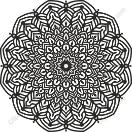 Elegant Black and White Mandala