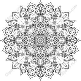 Intricate Mandala