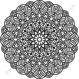 Intricate Black and White Mandala