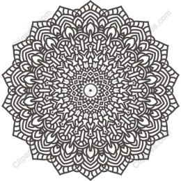 Elegant Mandala Floral