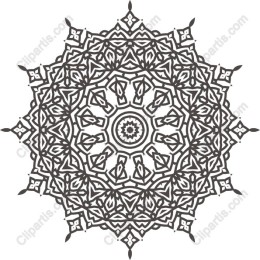 Exquisite Intricate Mandala