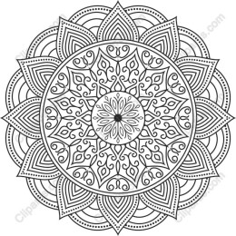 Exquisite Mandala