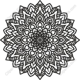 Mandala Elegance