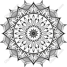 Intricate Mandala