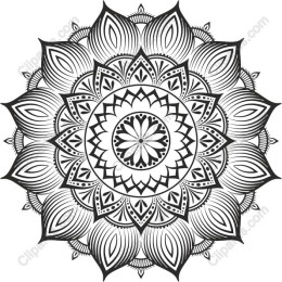 Elegant Black and White Mandala