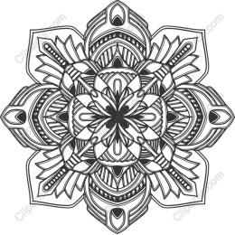 Intricate Mandala