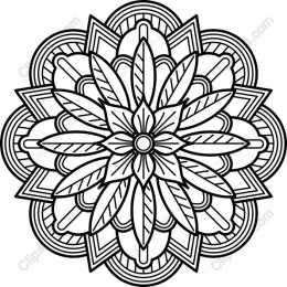 Elegant Flower Mandala