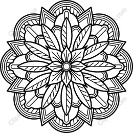 Floral Mandala