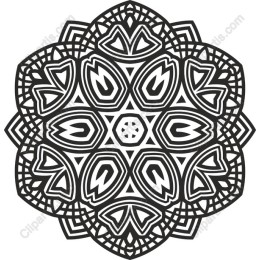 Intricate Mandala