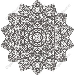 Intricate Mandala