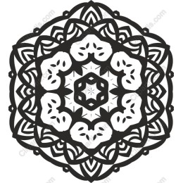 Intricate Black and White Mandala