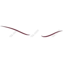 Elegant Lines