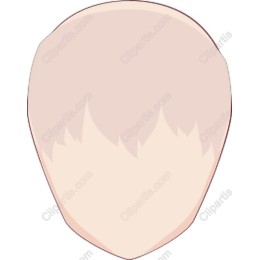 Premium Hair