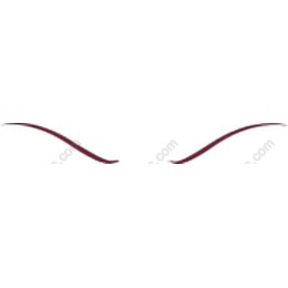 Elegant Flowing Lines
