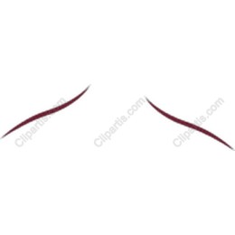 Curved Lines Set