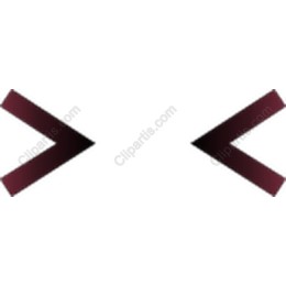 Dynamic Two-Toned Arrow