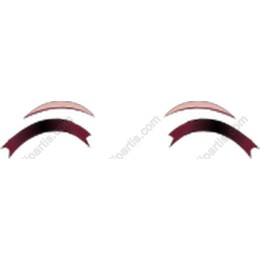 Elegant Eyebrow