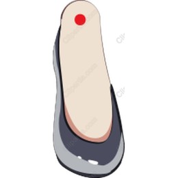 Modern Flat Shoe