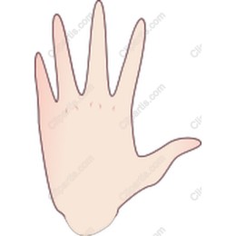 Elegant Human Hand