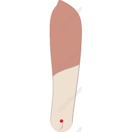 Culinary Elegance: Spatula