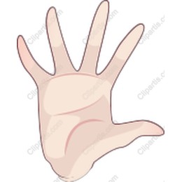 Open Hand