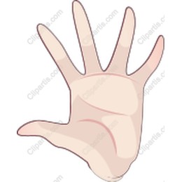 Elegant Human Hand